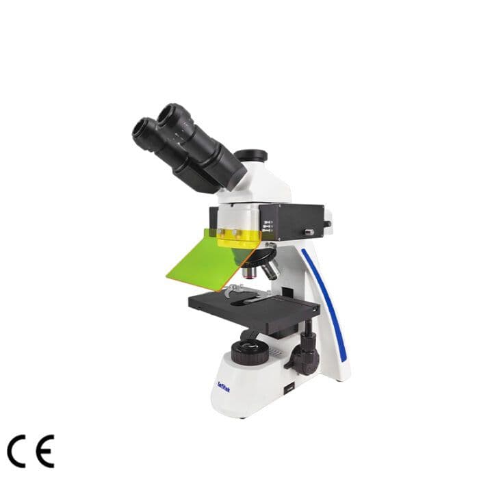 Infitek Upright Fluorescence Microscope MSC-F31
