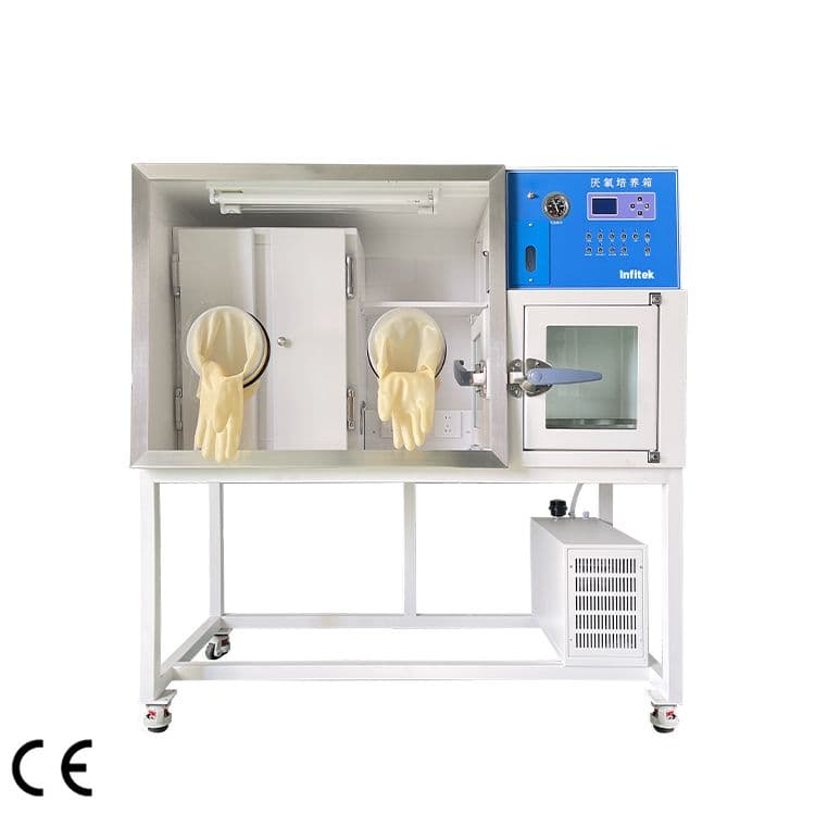 Infitek Anaerobic Incubator ICB-AN-HYQIII
