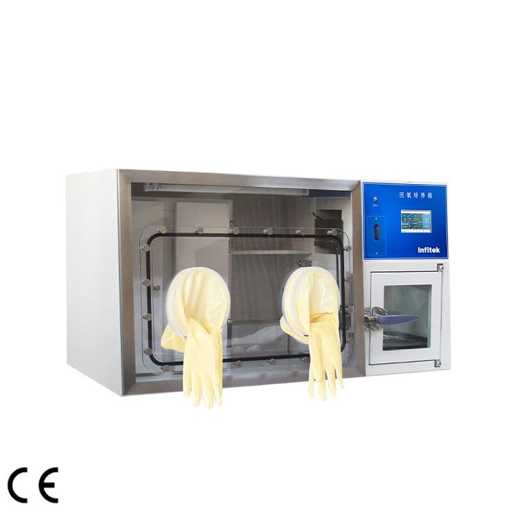 Infitek Advanced Touchscreen Anaerobic Incubator ICB-AN-T Series