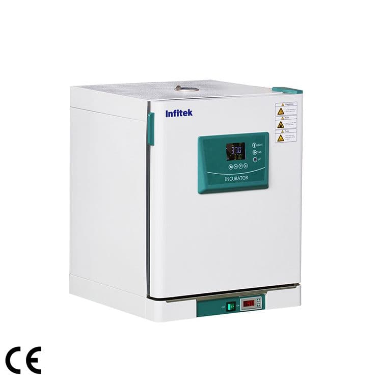Infitek Constant Temperature Incubator ICB-P Series